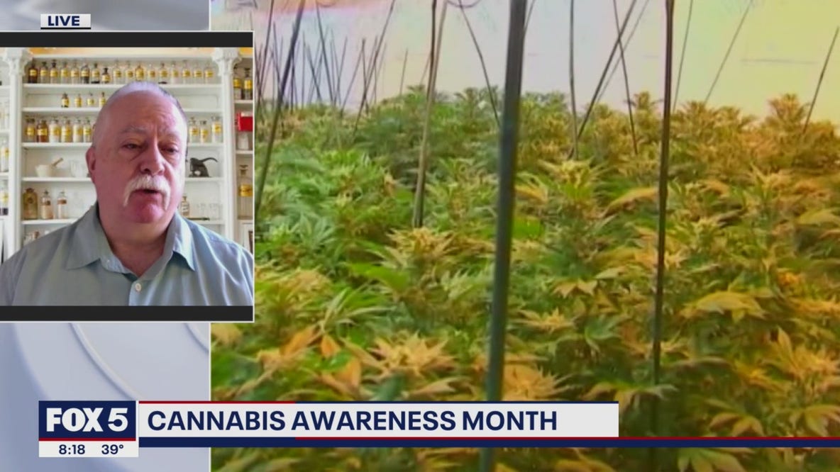 Cannabis Awareness Month: Legalizing medical marijuana